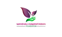 World web media client (2)